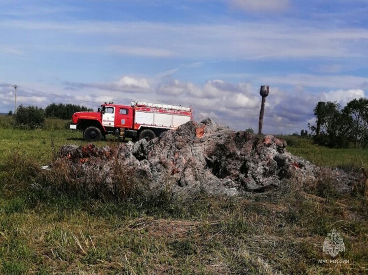 Огонь повредил сарай и баню в Псковском округе