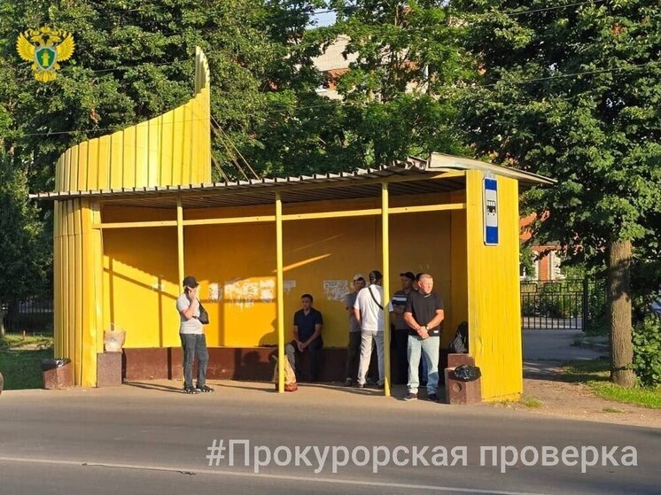  В Новомосковске проверят доступность остановок для инвалидов