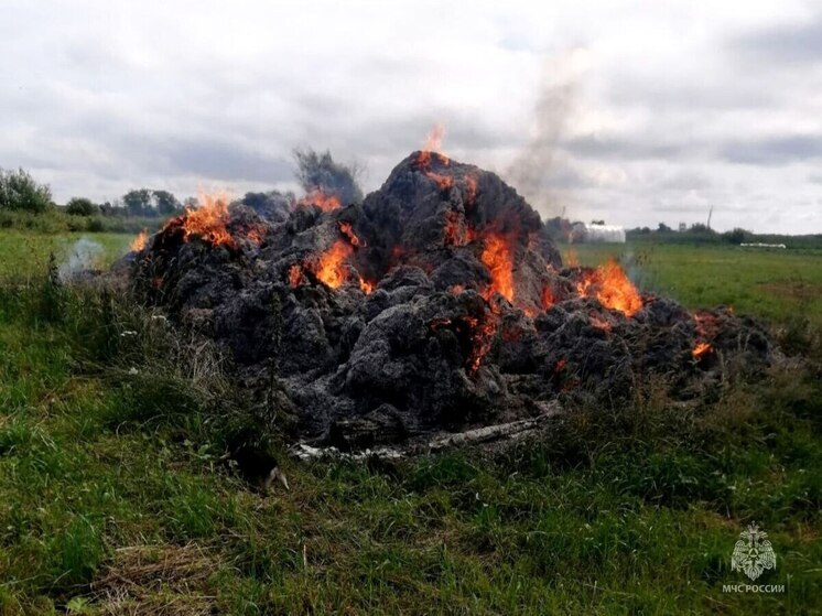 Сено загорелось в новосокольнической деревне
