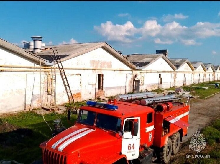 В Красноармейском районе выгорел хлев для откормки скота
