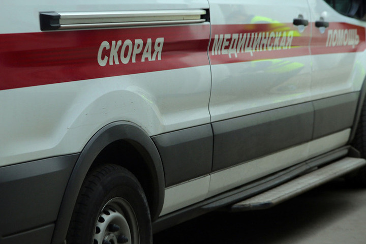 «Дочь шла в крови по микрорайону». В Нижегородской области собака вцепилась в лицо маленькой девочки