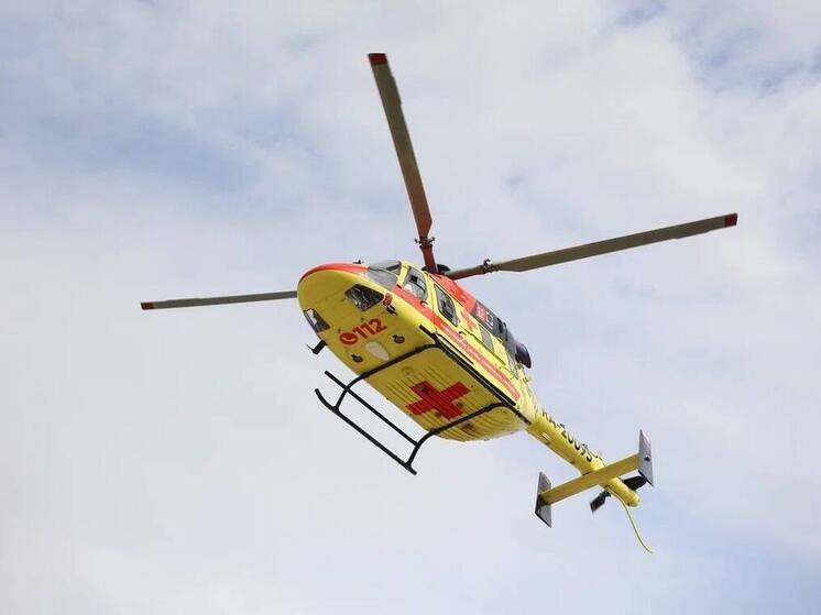 Около 500 вылетов выполнили вертолеты санавиации с начала года в Подмосковье