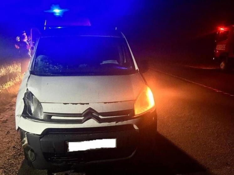 Водитель Citroen насмерть сбил пешехода под Рязанью
