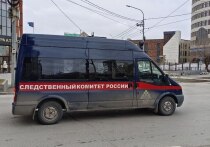 В Алтайском крае в суд ушло уголовное дело, возбужденное в отношении руководителя приюта для инвалидов и пожилых людей в Тогульском районе