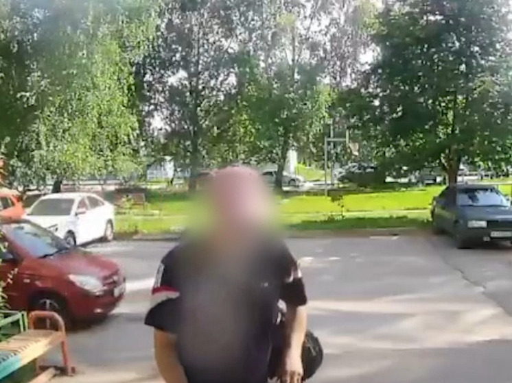 В Липецке правоохранители раскрыли кражу женской сумочки