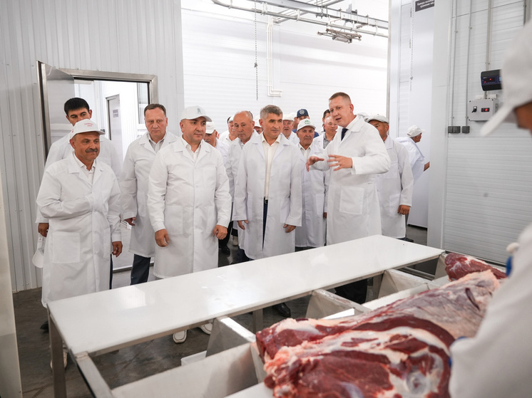 Олег Николаев посетил в Батырево новый цех по переработке мяса