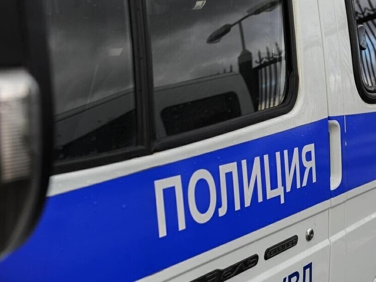 В Алексине грузчики маркетплейса подозреваются в краже поддонов