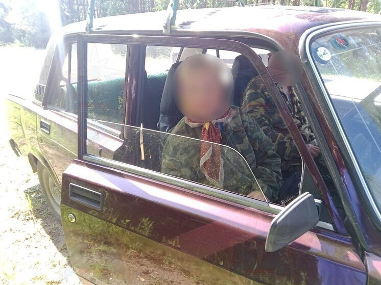 Спасатели искали в лесу у Пупышево женщину, которая долго не выходила на связь