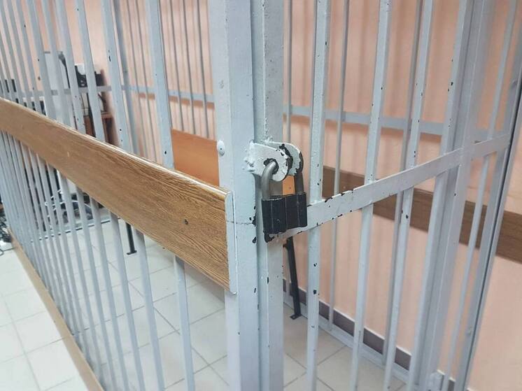 На Брянщине осудили пенсионерку, порезавшую ножом знакомого