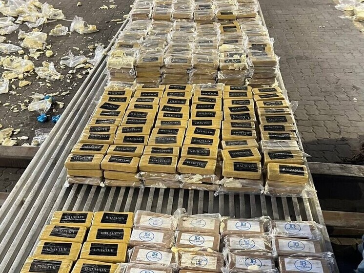 В Петербурге нашли 820 килограмм наркотиков в контейнере с бананами