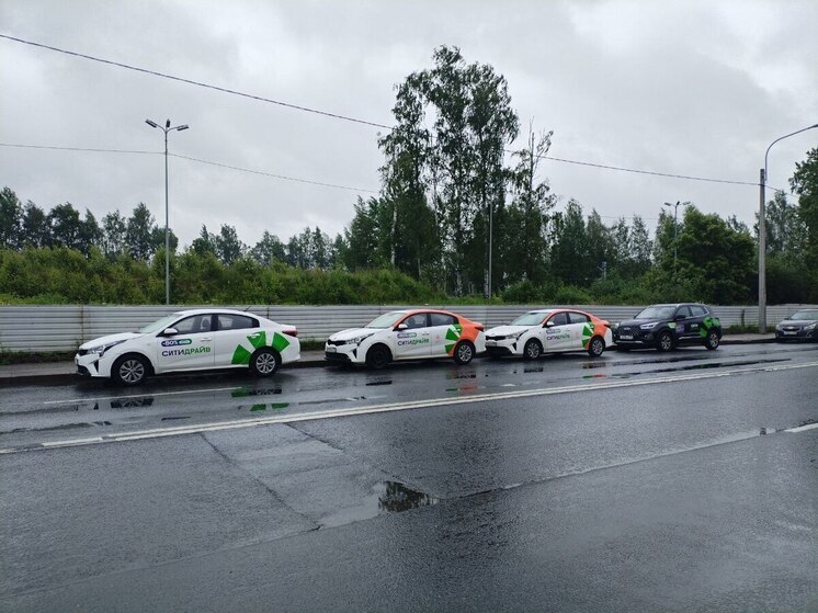 Петербуржец переобул каршеринг в свои старые шины