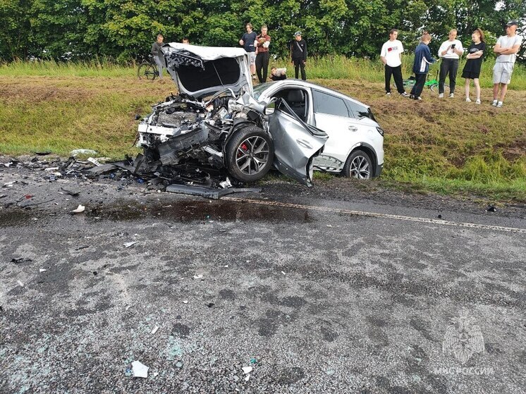 Четыре человека пострадали в аварии в Неманском округе