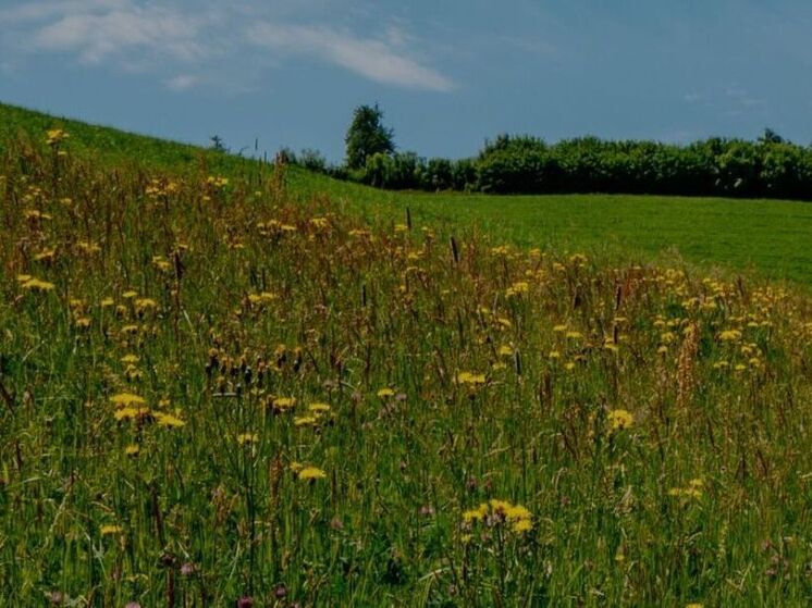 Свыше 90 объектов недвижимости выставили на торги за неделю в Подмосковье