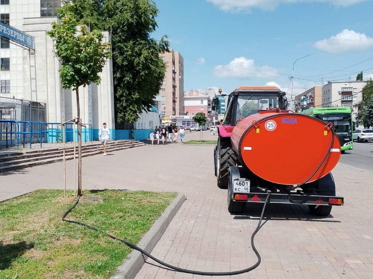 В Курске клумбы с цветами поливают в усиленном режиме
