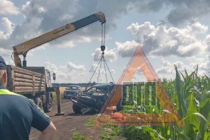 В Колышлейском районе произошло смертельное ДТП: “Нива” столкнулась с “ЗИЛом”
