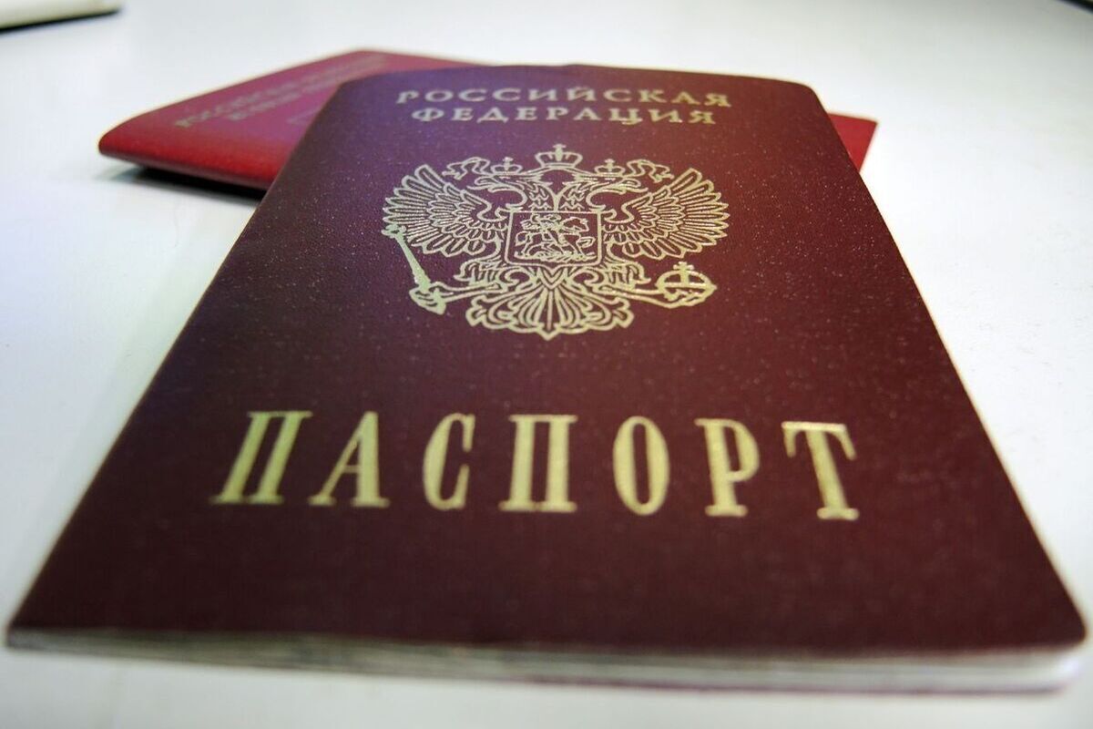 В ГД внесли законопроект о механизме лишения гражданства за уклонение от воинского учета