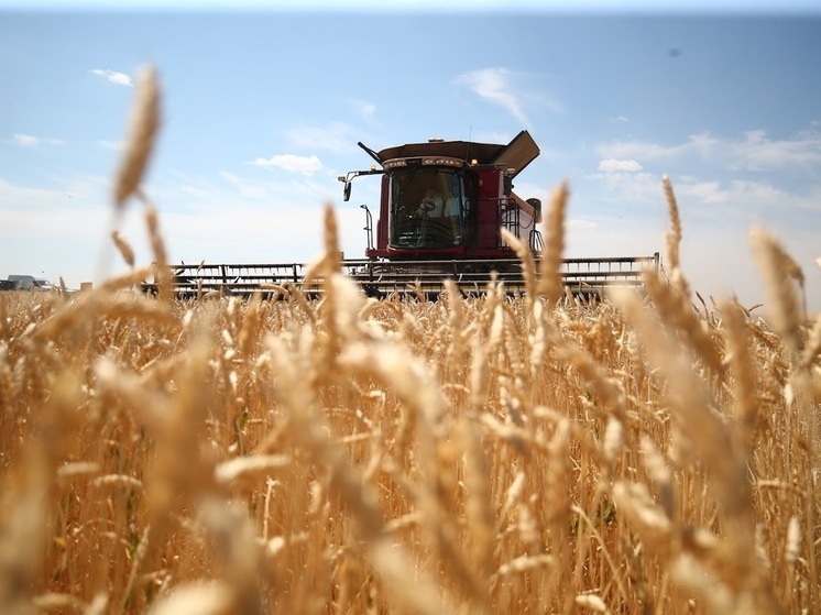 В Волгоградской области к уборочной кампании обновили сельхозтехнику
