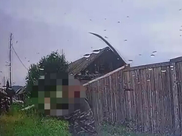 Житель Хакасии набросился на полицейских с косой из-за родственника