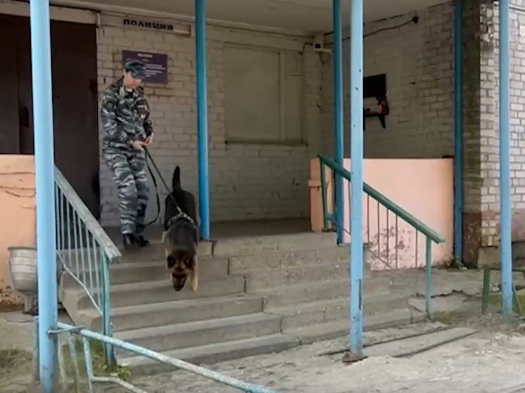 В Архангельской области полицейские за полчаса нашли заблудившегося пенсионера