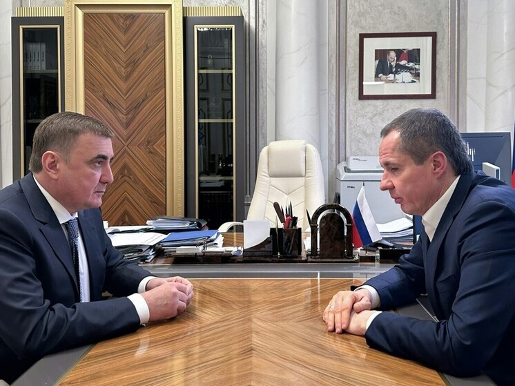 Вячеслав Гладков и Алексей Дюмин обсудили дополнительные меры защиты региона
