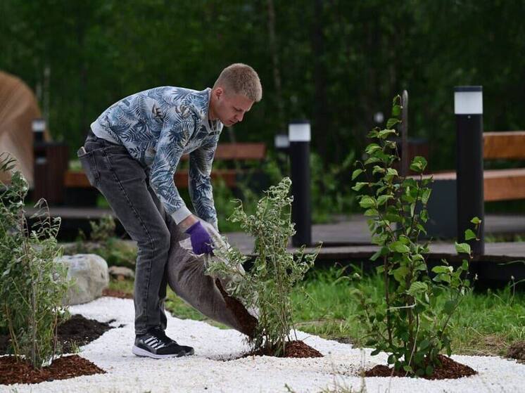 В новоуренгойском парке «Дружба» к юбилею города появился рокарий