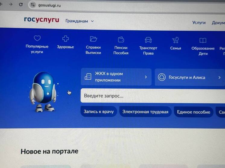 IT-специалисты Самарской области могут получить отсрочку от армии на Госуслугах