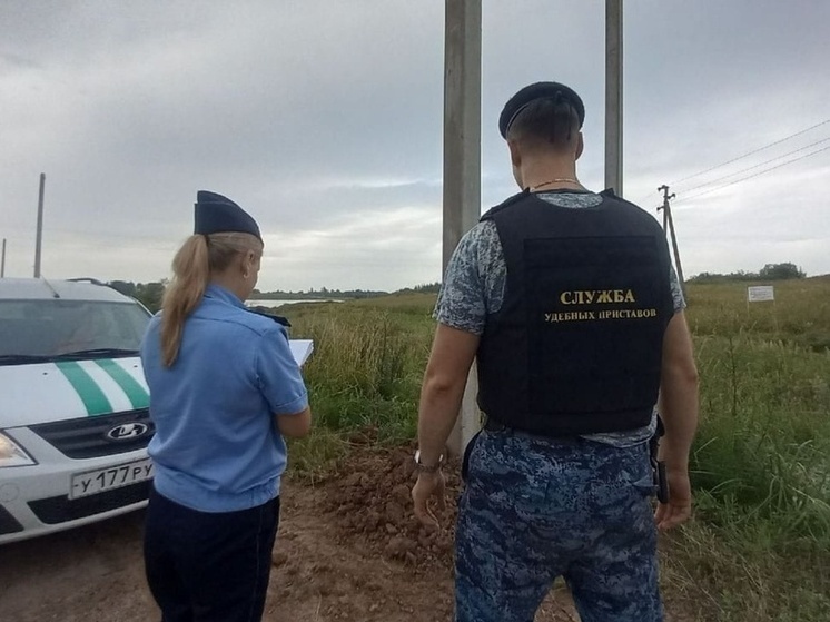 Садоводческое товарищество «Виктория» обязали выплатить почти 240 тысяч рублей владельцу автомобиля, повреждённого упавшей ЛЭП