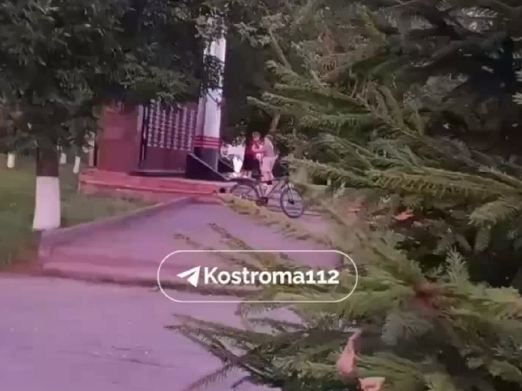 Костромские инциденты: трех онижедетей, резвившихся на Вечном Огне нашли… и отпустили