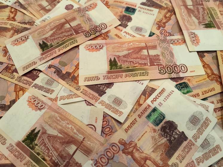 Монополизация платежного рынка несет угрозы обеспечению бесперебойности платежей и ущемляет финансовые права граждан