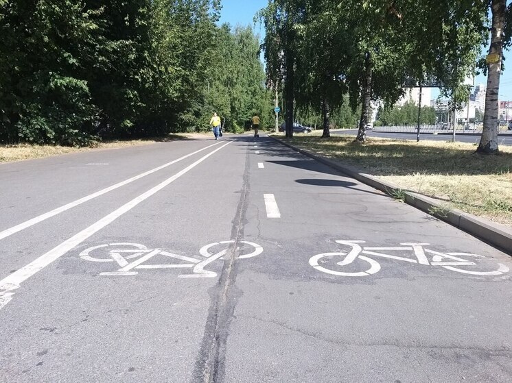 В Приморском районе для петербуржцев соорудят новую велодорожку