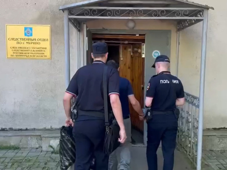 В Мурино задержали иностранца, убившего своего соотечественника
