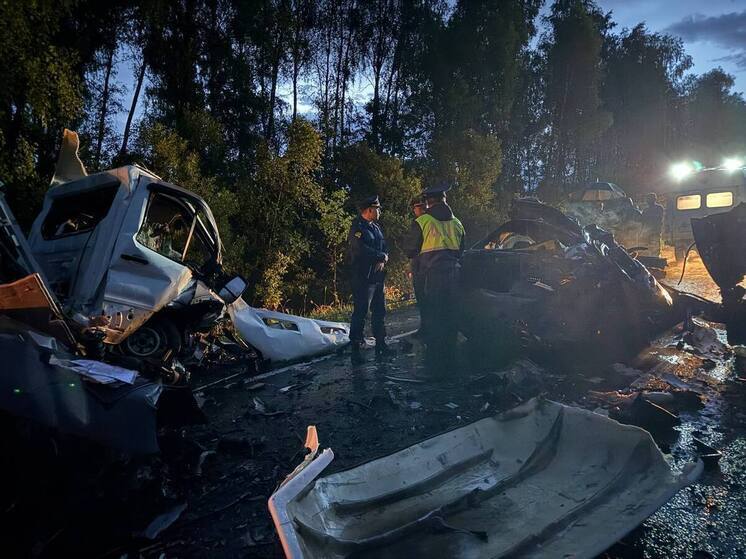 ДТП с пятью погибшими в Ферзиковском районе привело к уголовному делу