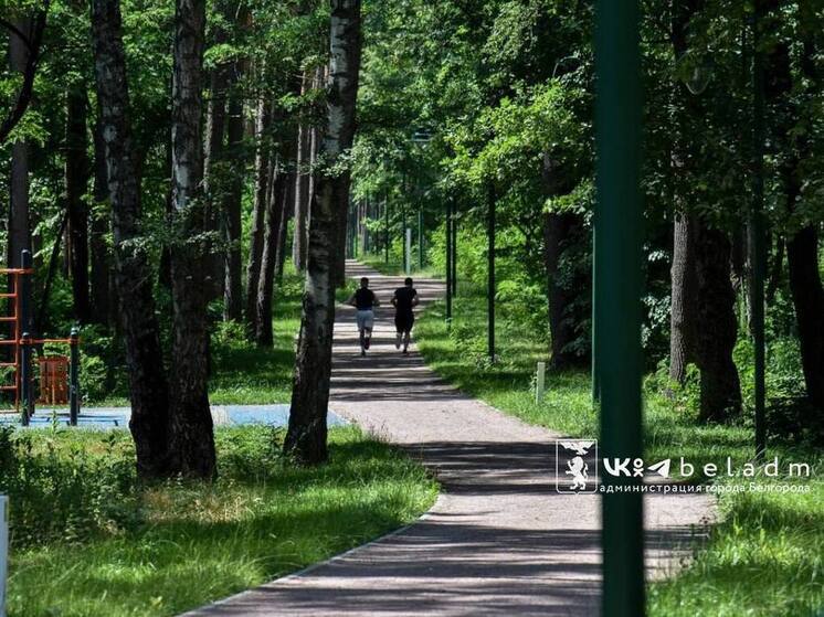 В Белгороде любителям бега напомнили о дорожках в Сосновке