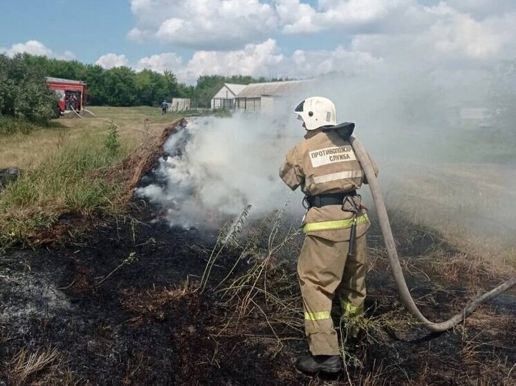 В Курской области потушили полыхающую траву на площади 400 «квадратов»