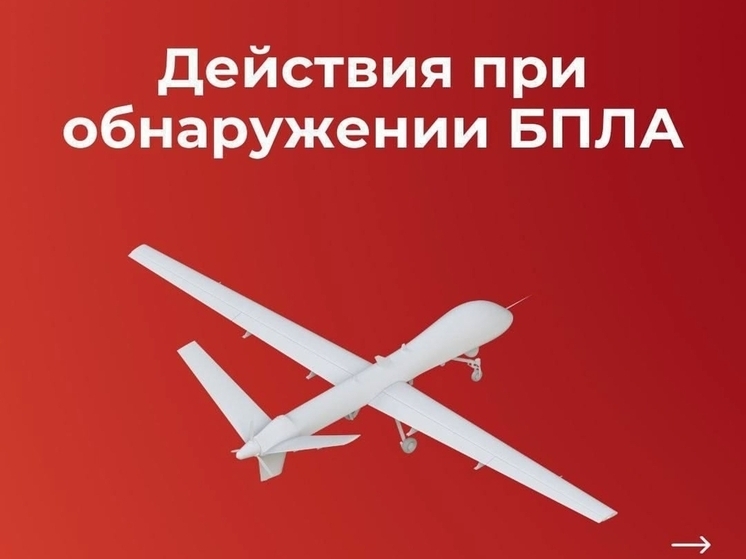Над Смоленской областью сбиты два украинских беспилотника