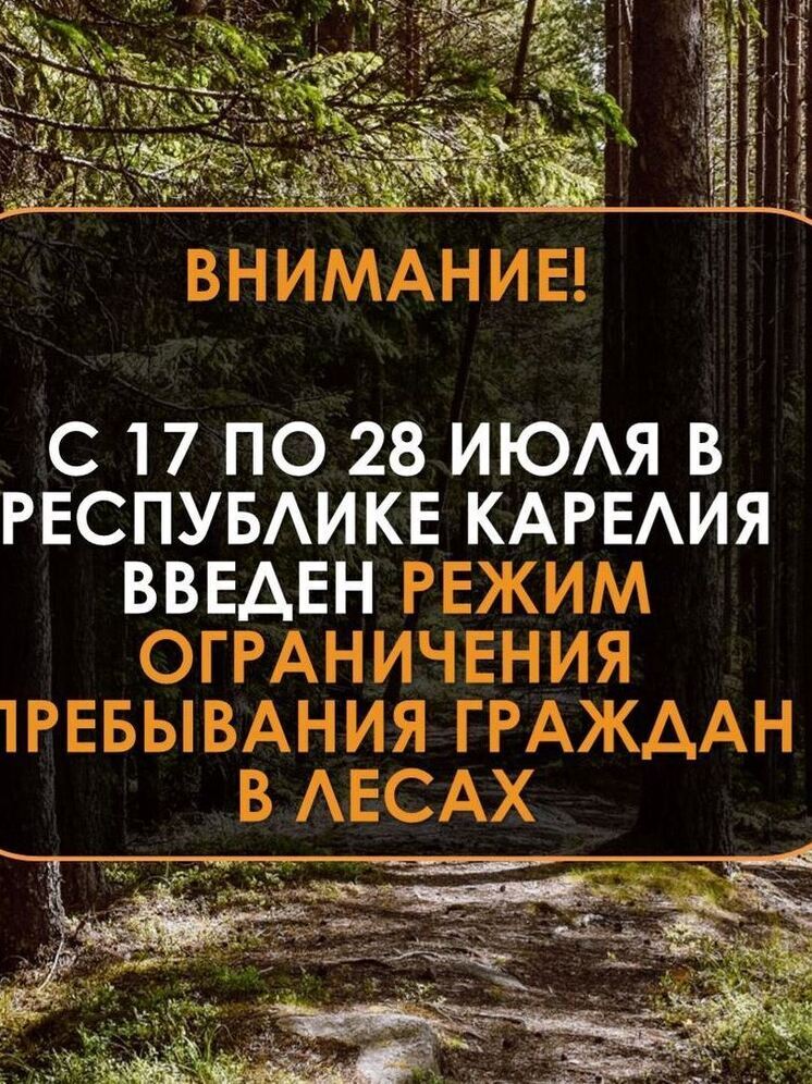 Режим ограничения пребывания граждан в лесах ввели в Карелии