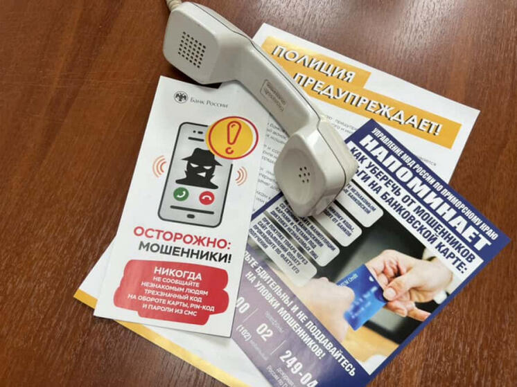 В ЕАО мошенники заблокировали телефон у жертвы