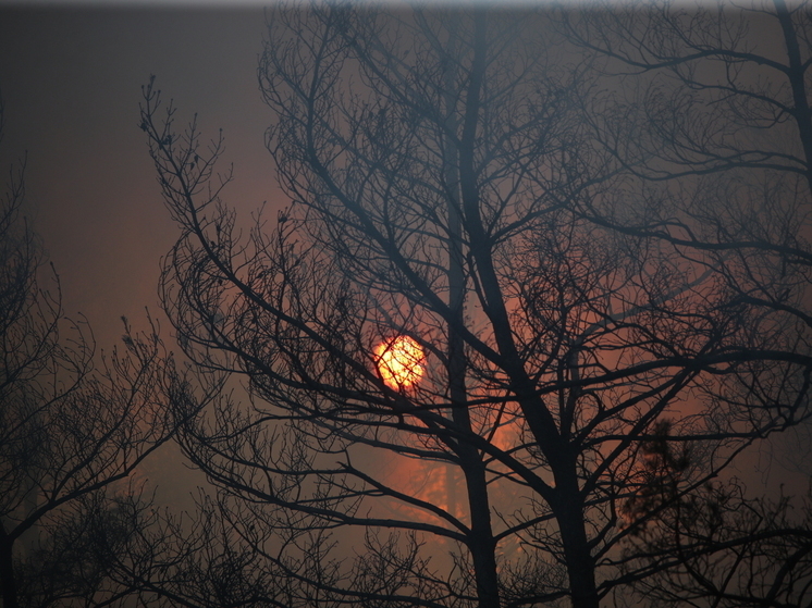 Магнитная буря 17 июля 2025 года: наступило затишье перед мощными геоударами