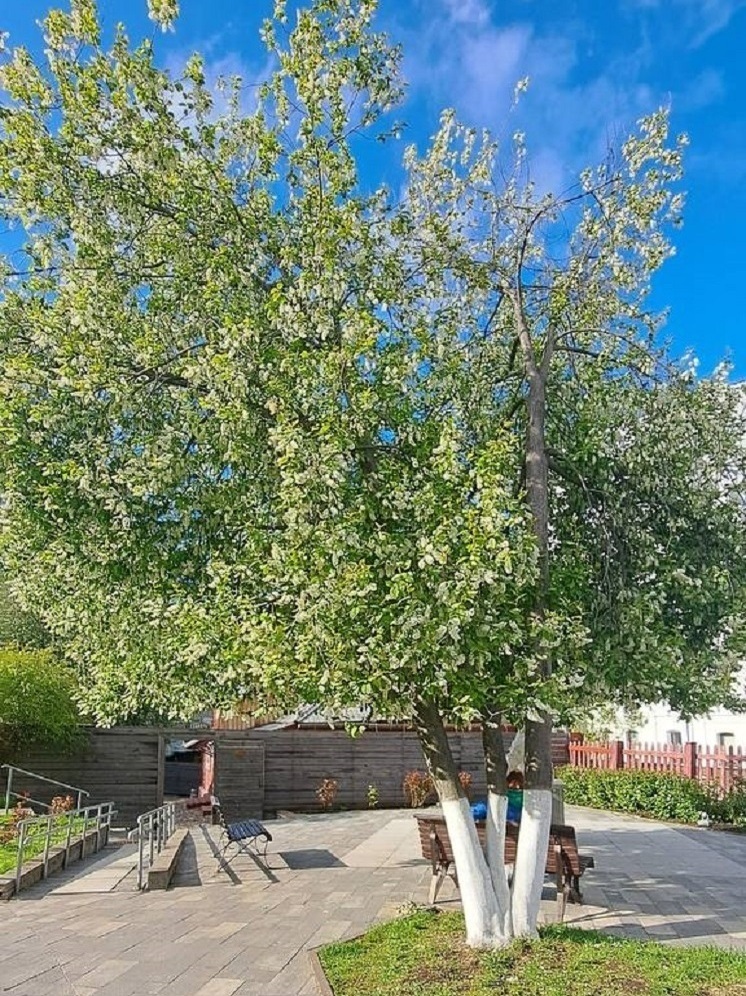 Малооблачно и до +26°C прогнозируется в Нижнем Новгороде 17 июля