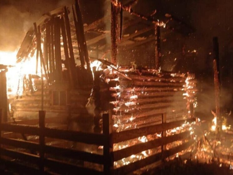 Мужчина погиб на пожаре в Чунском округе