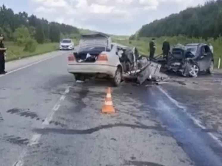 Стала известна судьба выжившей девочки в ДТП под Новосибирском