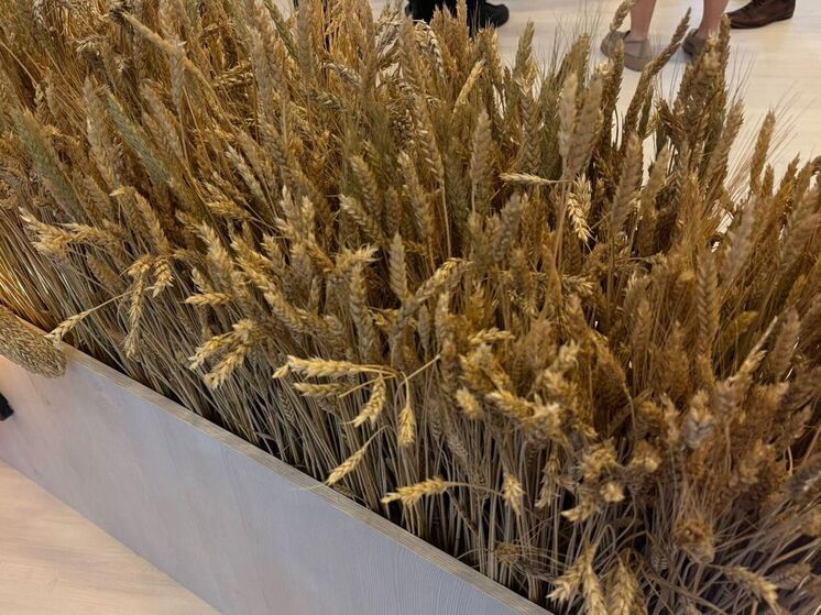 На Ставрополье откроется агротехнологический класс в Георгиевском округе