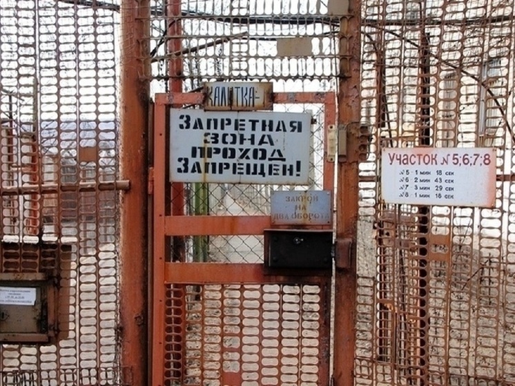 Иркутянина в Забайкалье приговорили к 12 годами колонии за оправдание терроризма
