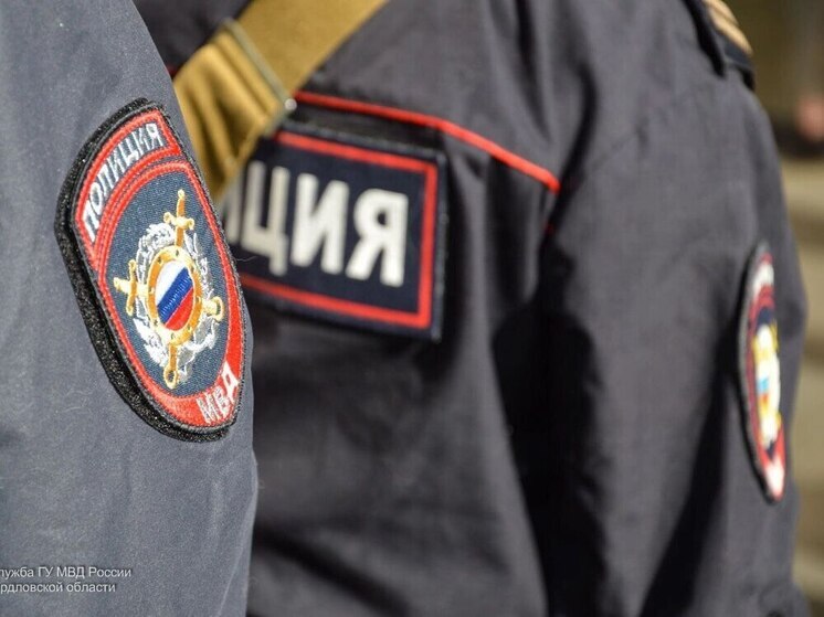 В Кургане полиция раскрыла кражу из частного дома