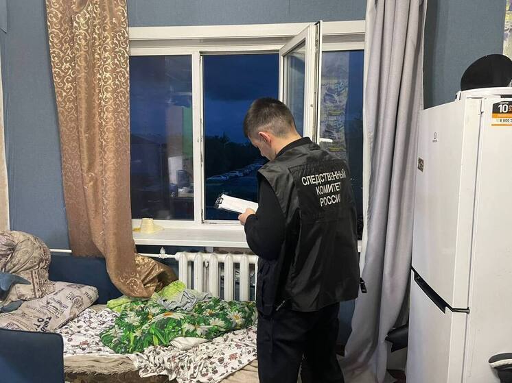 Следком начал проверку по факту падения 2-летнего малыша из окна в Губкинском