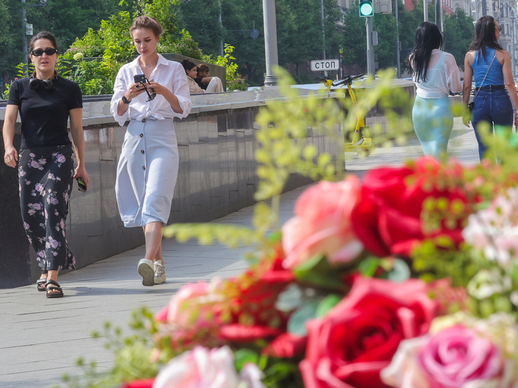 Тишковец: в Москве в четверг потеплеет до +27 градусов, но дожди сохранятся