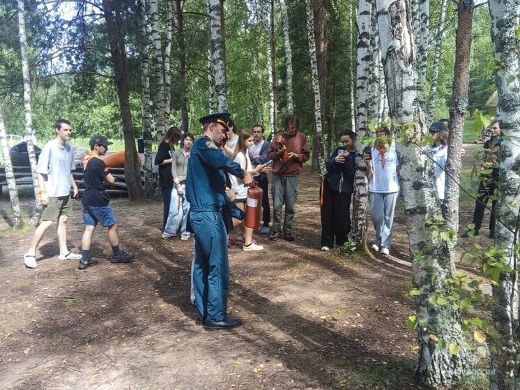 Профилактические мероприятия прошли в лагерях Пушкиногорского района