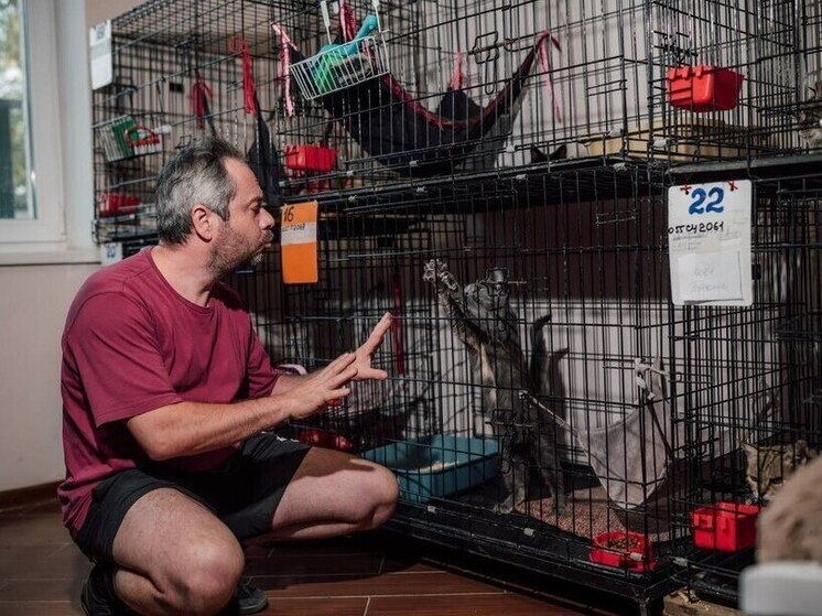 Дрессировщик из Москвы навестил донецкий «Кошкин дом»