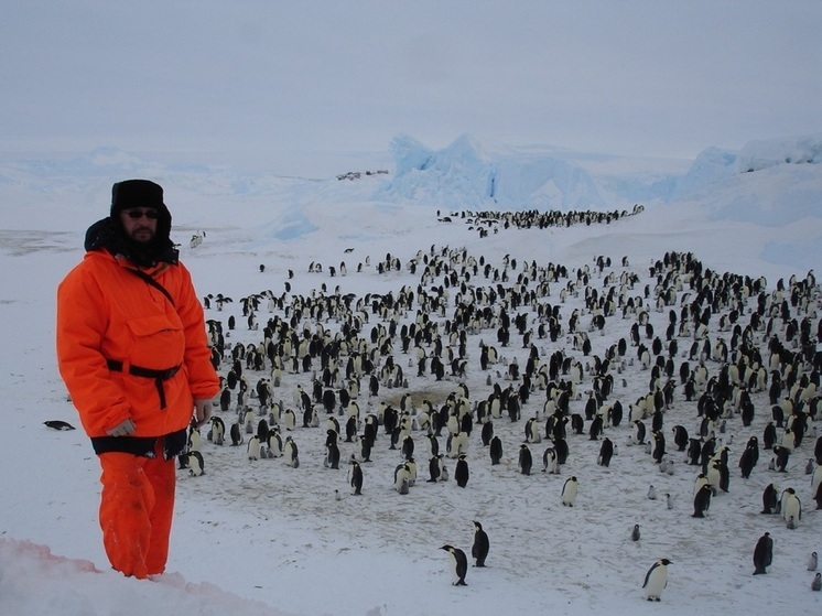 В НАО готовятся встретить эксперта по белому медведю и пингвинам