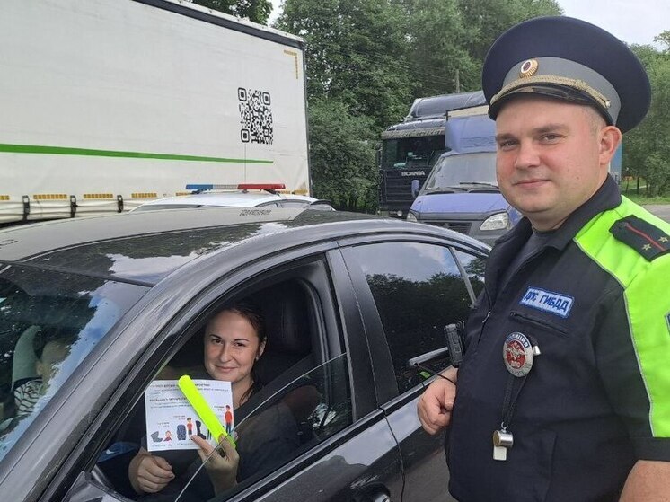 В Серпухове проверили безопасность юных пассажиров в рамках акции «Детское кресло»